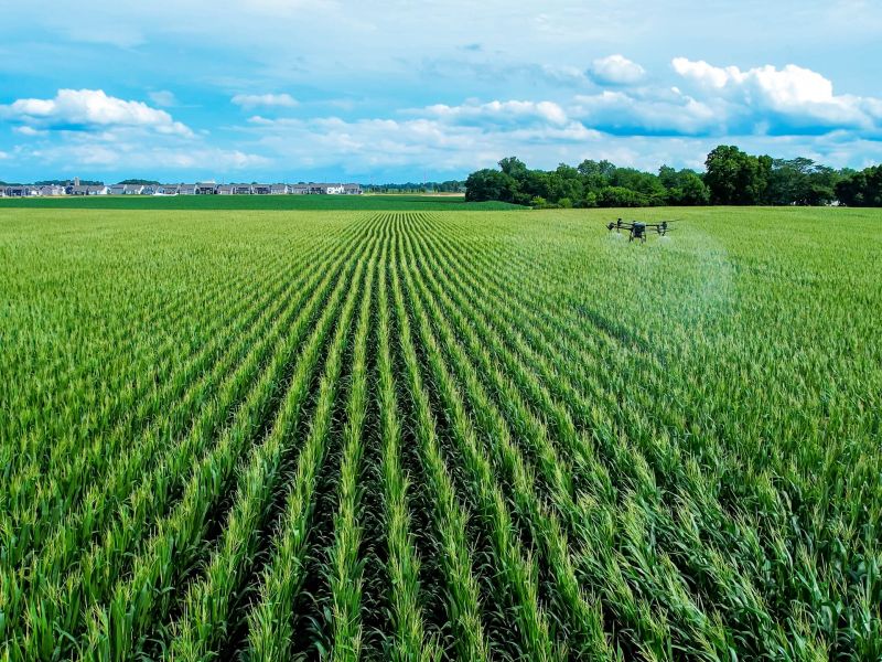Farmland